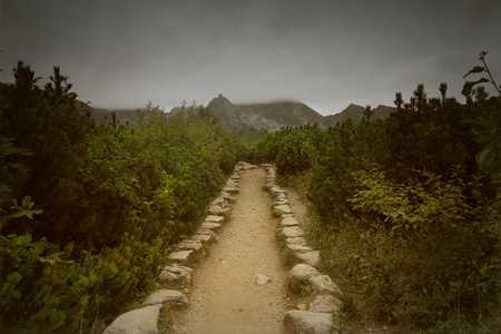 在山中的秋景