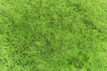 水分对比图片-水分对比素材-水分对比插画-摄图新视界