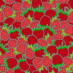 Raspberrys 无缝背景