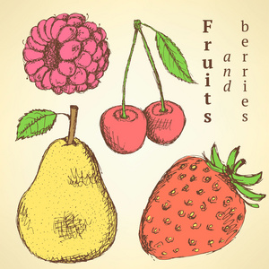 素描水果和浆果中的复古风格