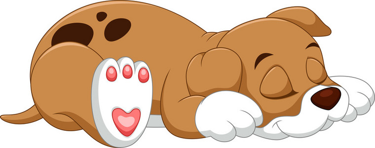 狗卡通可爱的小宝贝狗卡通的插图可爱的小狗睡着可爱的波士顿梗犬小狗