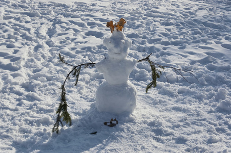 公园里的雪人, 孩子们做的, 索菲亚