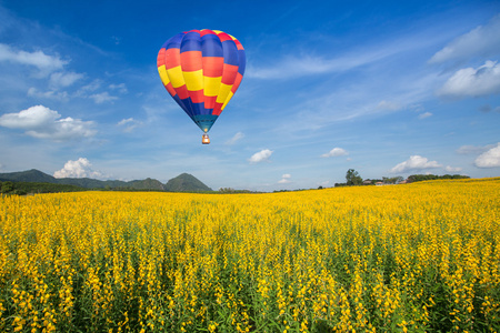 热气球在黄色花卉场蓝天的衬托