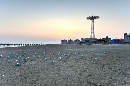 海滩与海鸥