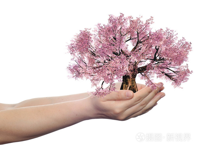 手中拿着粉红春天树
