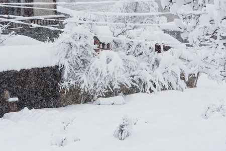 在小城市的强降雪图片