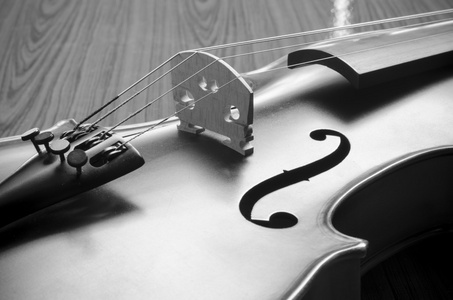 黑色和白色小提琴