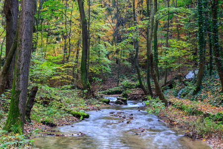 山区河流在森林里，秋季景观