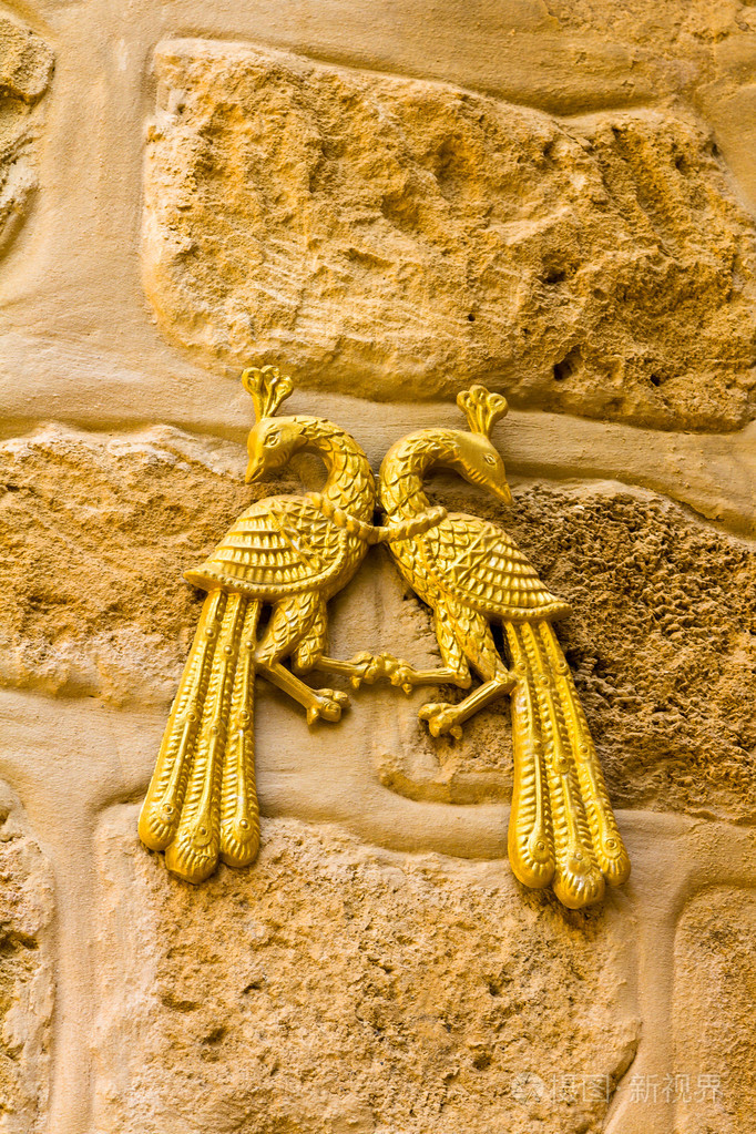 两个金孔雀照片-正版商用图片1ifrf5-摄图新视界