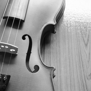 黑色和白色小提琴