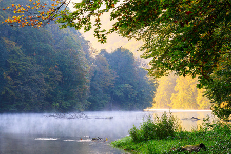 森林湖早晨在秋天