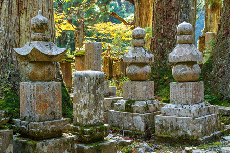 在高野山 高野山 在日本和歌山，墓地面积 Okunoin 寺