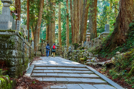在高野山 高野山 在日本和歌山，墓地面积 Okunoin 寺