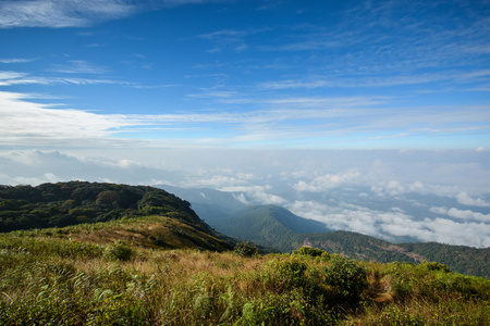 景区山风景