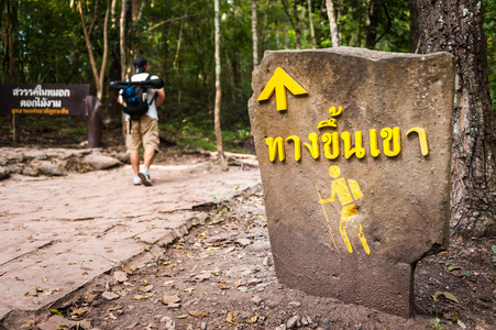 徒步旅行者穿过林中道路标志图片