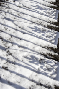 锻造铁艺在雪上的阴影