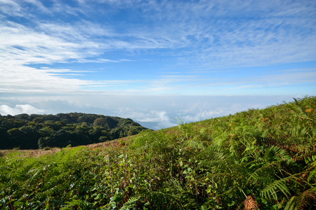 绿色的原野，在山与天空