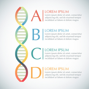 与 Dna 信息图表设计模板