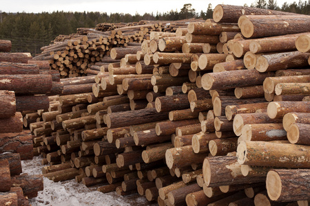 大堆木材图片