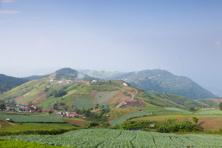 山区面积农场