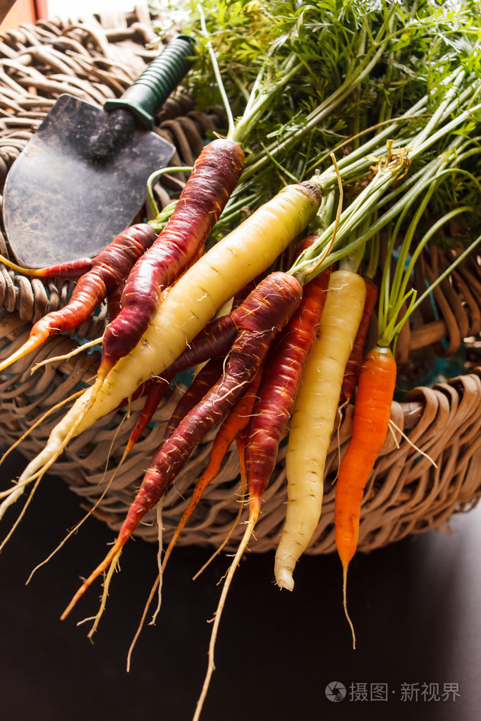 不同的彩色胡萝卜
