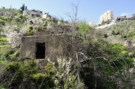 旧的 Lifta 村废墟