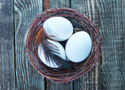 鸡鸡蛋在巢