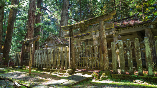Okunoin 庙墓地面积在和歌山县高野山 高野山