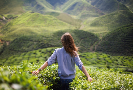 幸福的女人，对茶园