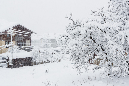 在小城市的强降雪