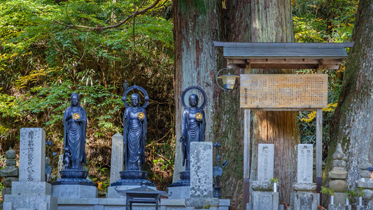 Okunoin 庙墓地面积在和歌山县高野山 高野山