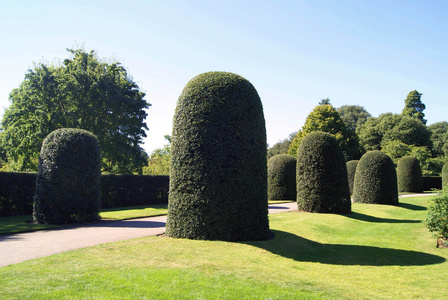 英国皇家植物园，Kew，伦敦，英国