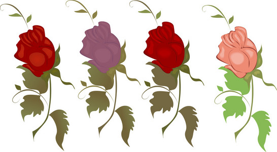 矢量图的一组不同颜色的玫瑰，白色的背景上