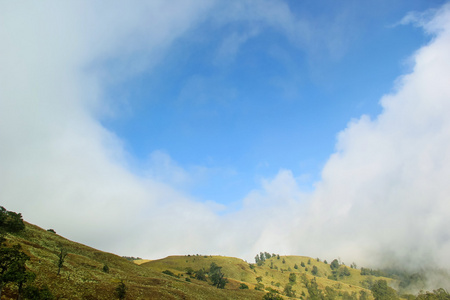 山上的风景