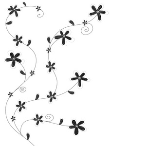 黑色和白色的花朵手绘制的矢量