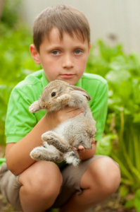 小男孩用一只手中的兔子