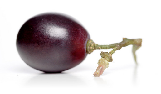 一个成熟的葡萄