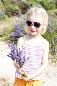 小女孩用薰衣草，普罗旺斯法国