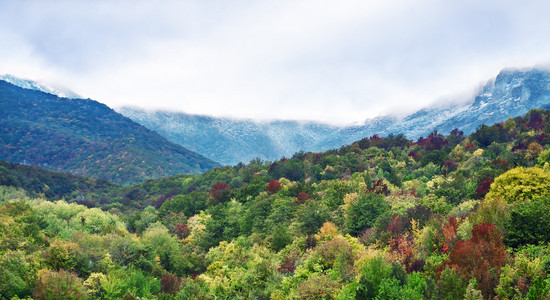 在克里米亚山脉。绿色的叶子和雪