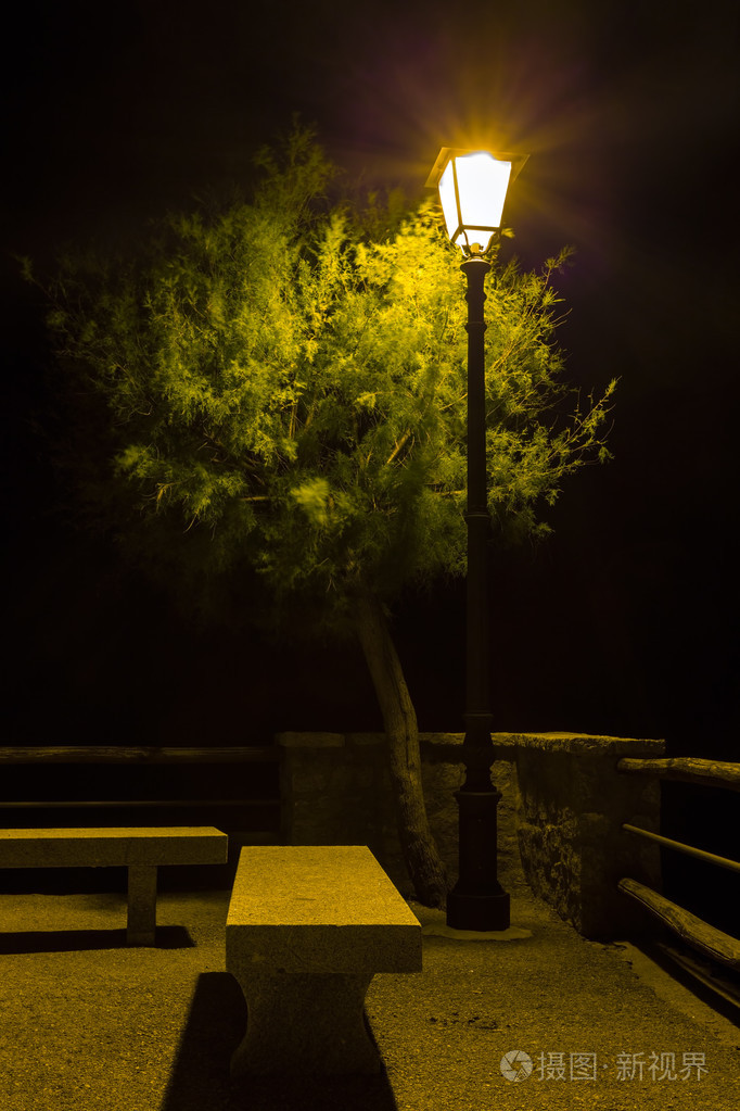 路灯照亮了树和长凳