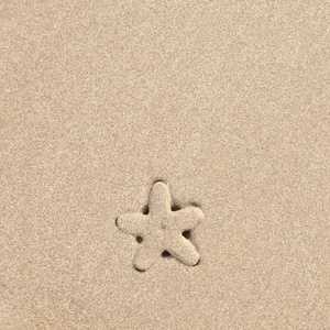 海星砂背景