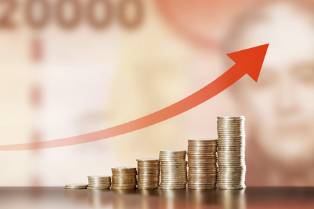 智利阿根廷比索升值照片