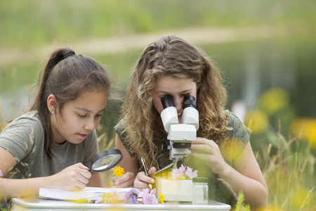年轻漂亮的女孩在探索自然的户外科学课
