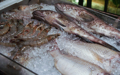 新鲜的鱼虾鱼虾拼盘鱼钩上有蛆的鱼虾虎鱼,特写平底锅与浴缸鱼虾贻贝