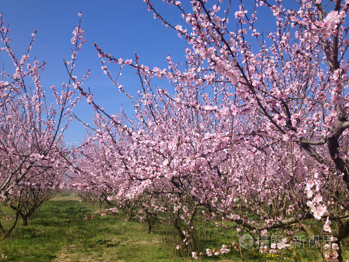 Ѱʲô˼_ѰҴʲô˼_ѰĴ