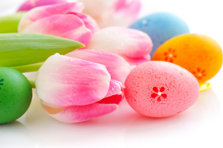 复活节彩蛋与白色背景上的粉红色郁金香花