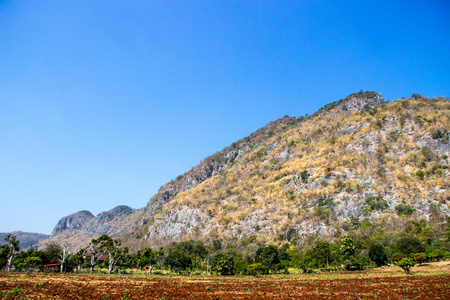 秋季时间山崩地貌景观图片