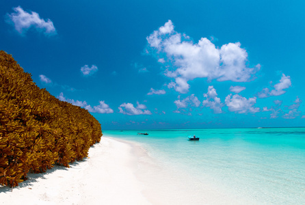 令人敬畏的马尔代夫海滩。白色的沙滩和绿松石水域