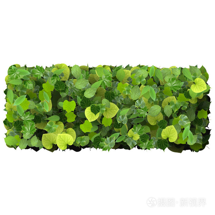 四合院,由孤立的白色背景上的绿色树叶制成的矩形.3d 渲染