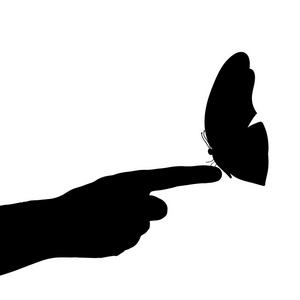 一只蝴蝶在手上的剪影